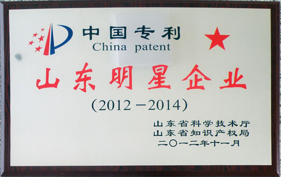 山東明星企業